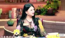 何炅爆料李湘视频,揭秘明星夫妻背后的故事