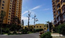 威海房产最新爆料,揭秘最新热门项目与价格走势