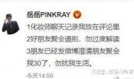 狗仔爆料刘大锤收钱视频,狗仔爆料揭露娱乐圈潜规则