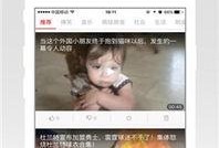鲁鲁的在线视频观看,揭秘生活百态，畅享知识盛宴