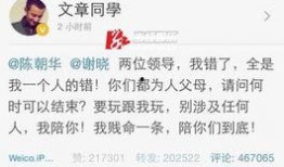 最新爆料文章,揭秘事件背后惊人真相