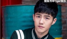 网友爆料王源视频大全,网友爆料精彩瞬间回顾