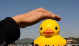 大黄鸭香港爆料视频播放,揭秘背后惊人真相