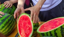 免费吃瓜 最新,揭秘网络热点的幕后故事