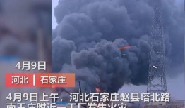 汨罗最新爆料事件视频播放,视频内容引发热议，真相究竟如何？