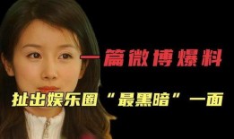 爆料娱乐圈的阴暗,揭秘幕后黑幕与权力斗争