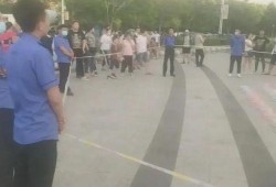 双阳区最新爆料,揭秘神秘事件背后的真相