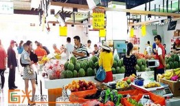 娱乐吃瓜场湛江,吃瓜群众的热议焦点