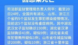 疫情新闻爆料点,揭示病毒传播背后的惊人真相