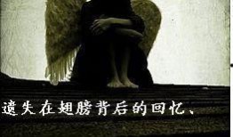 迷失背后在线观看,揭秘网络迷雾中的真相与悬疑