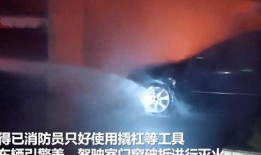 鹤山市爆料新闻事件视频,真相揭秘，背后故事引关注