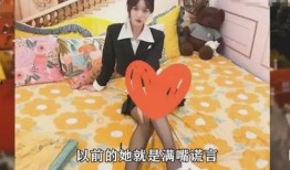 黑客爆料网红视频大全集,黑客爆料视频大全集深度解析