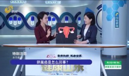 天津电台爆料新闻报道视频,揭秘某事件背后真相