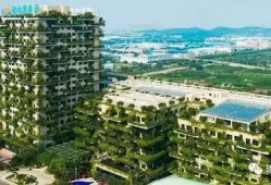 宜宾碧桂园爆料最新消息,揭秘项目进展与未来规划