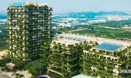 宜宾碧桂园爆料最新消息,揭秘项目进展与未来规划