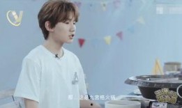 王源爆料王菲视频大全,王源独家爆料视频大合集