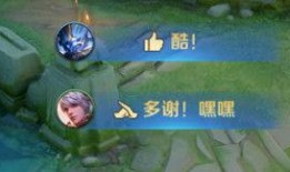 刚毅服爆料的最新皮肤尊享升满级,刚毅服爆料最新皮肤巅峰荣耀揭秘