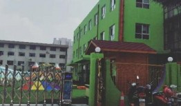 美七真实情况爆料最新消息