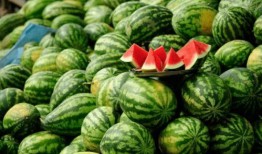 网红吃瓜网站免费,免费畅享娱乐圈最新资讯，带你领略网络娱乐新风尚