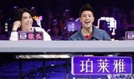 茅山节目最新爆料新闻,神秘事件背后真相揭晓！