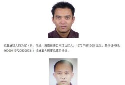 最新爆料国家三级通缉犯,国家三级通缉犯再掀追捕风云