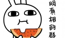 吃瓜网站都是免费的吗,吃瓜网站免费背后的真相与陷阱