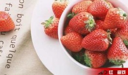 娱乐吃瓜酱草莓视频,娱乐吃瓜酱带你揭秘娱乐圈幕后故事