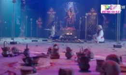 泰国片蛇女在线观看