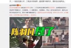 二辰爆料小黄豆微博视频,小黄豆微博视频揭秘幕后故事