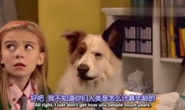 狗狗博客在线观看,在线观看，解锁萌宠生活新篇章