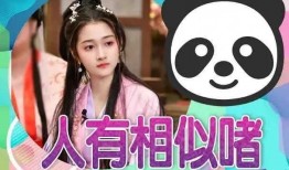 小伊伊吃瓜爆料视频大全,揭秘娱乐圈幕后真相