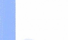 日料店学徒爆料视频播放,视频曝光后厨操作全过程