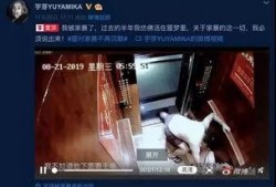 谁爆料家暴视频大全集下载,全网热议视频大全集深度解析