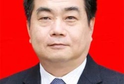 张新伟最新爆料新闻,揭秘事件背后惊人真相