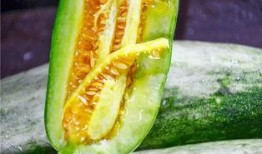 网红吃瓜网站免费,免费畅享娱乐圈最新资讯，带你领略网络娱乐新风尚