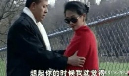 26年高清视频在线观看,重温经典，畅享视听盛宴