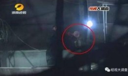 给猪灌泥浆爆料视频教程