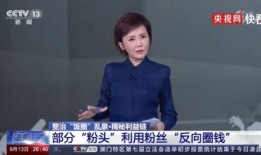 央视爆料粉条视频大全