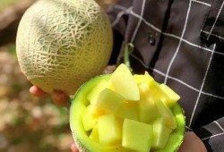 壁纸娱乐吃瓜,吃瓜群众的热议焦点
