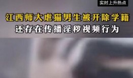 揭秘爆料学校事件视频,视频揭露惊人真相