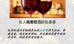 红酒女人爆料视频播放,一场视觉与听觉的盛宴