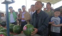 武都网红吃瓜群众视频播放,揭秘视频播放背后的热门现象