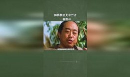 功夫老师 在线观看,在线观看，领略中华武术精髓