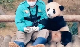 福宝宝最新爆料