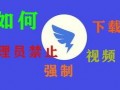 拼多多爆料最新视频下载,揭秘平台新动态与优惠福利