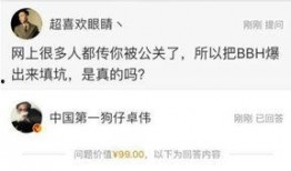 卓伟爆料芒果台视频回放,芒果台视频回放背后的惊人真相