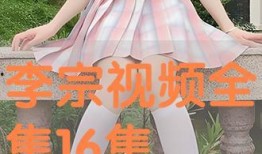 李宗视频全集在线观看,深度解析人生百态，探寻心灵奥秘