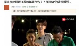 娱乐圈爆料赵丽颖知乎,揭秘明星背后的故事