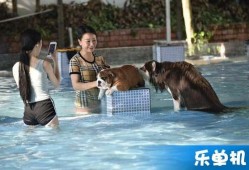 黄狗水池爆料视频大全,揭秘背后惊人真相