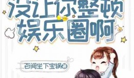 爆料整治娱乐圈的小说,揭秘爆料背后的真相与整治风暴